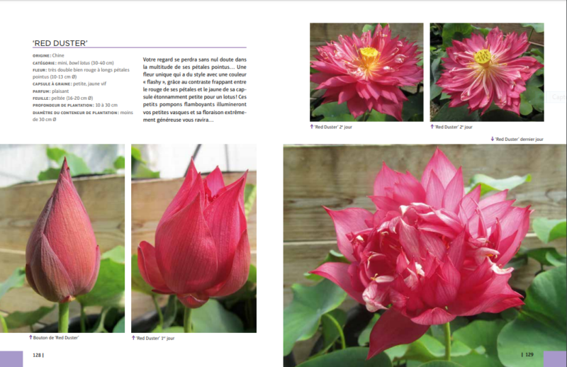 NOTRE LIVRE TELECHARGEABLE (format pdf) – Image 9