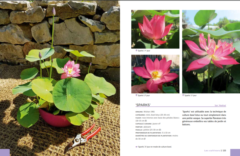 NOTRE LIVRE TELECHARGEABLE (format pdf) – Image 8