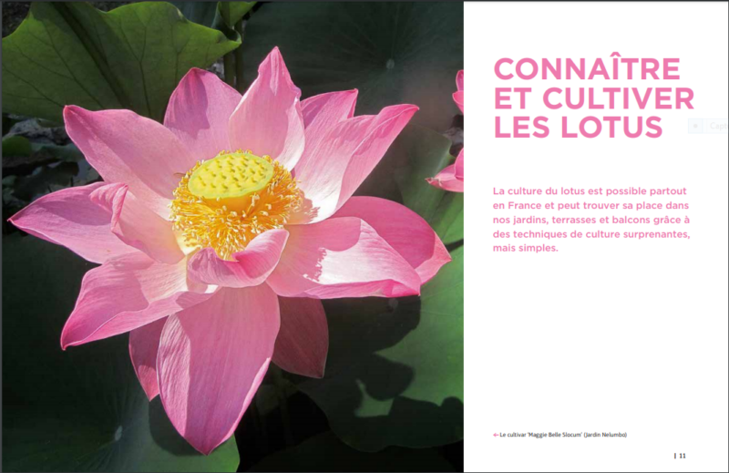 NOTRE LIVRE TELECHARGEABLE (format pdf) – Image 2
