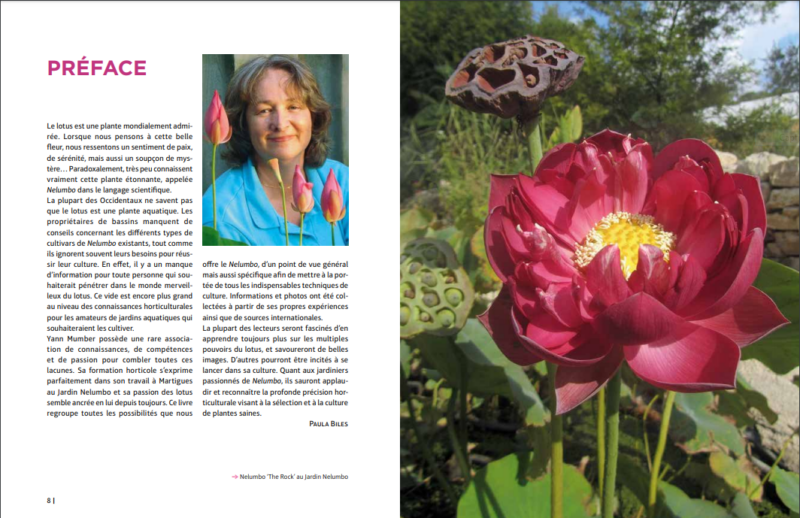 NOTRE LIVRE TELECHARGEABLE (format pdf) – Image 4