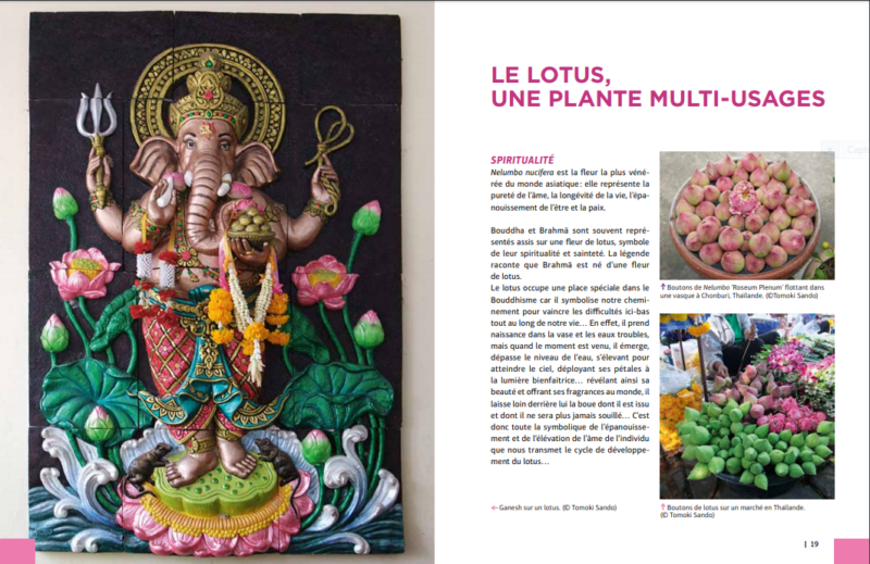 NOTRE LIVRE TELECHARGEABLE (format pdf) – Image 5