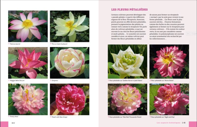 NOTRE LIVRE TELECHARGEABLE (format pdf) – Image 7