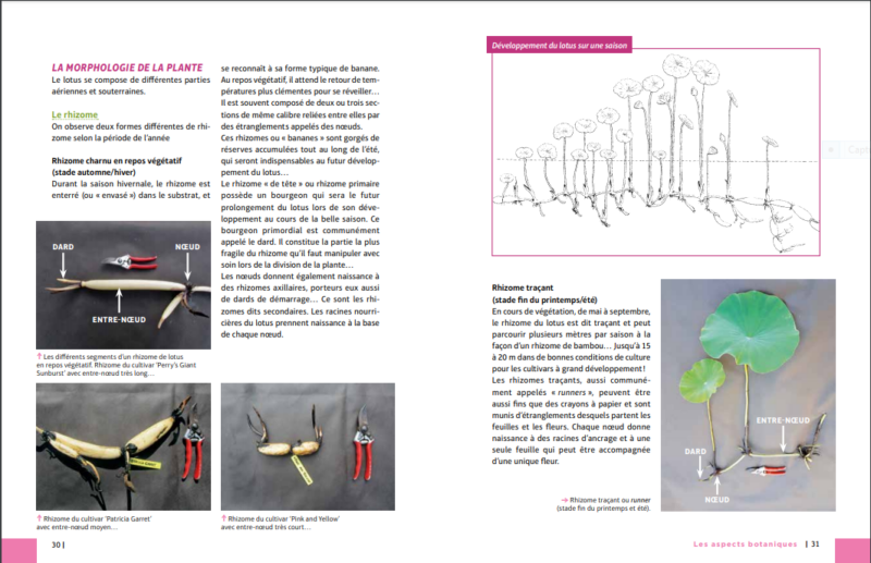 NOTRE LIVRE TELECHARGEABLE (format pdf) – Image 6