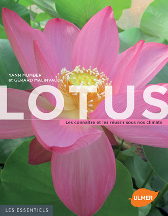 Livre Lotus