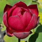 Flare in Heavenly Lake